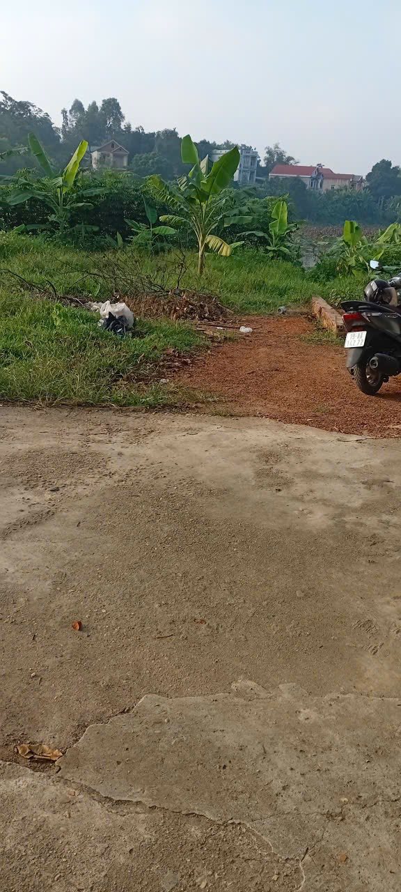 Đất nền Cẩm Đội Nông Trang 115m² giá 900 triệu - Nở hậu thoáng mát gần hồ sen!