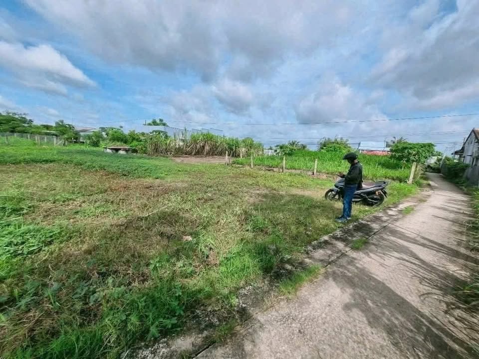 Đất thổ cư 100m² tại Bình Nghị, Gò Công Đông - Giá chỉ 300 triệu, chốt gấp!