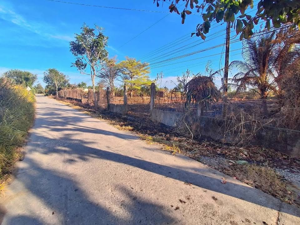 Đất nền Cà Mau 5900m² - Vị trí đẹp, thích hợp nghỉ dưỡng!