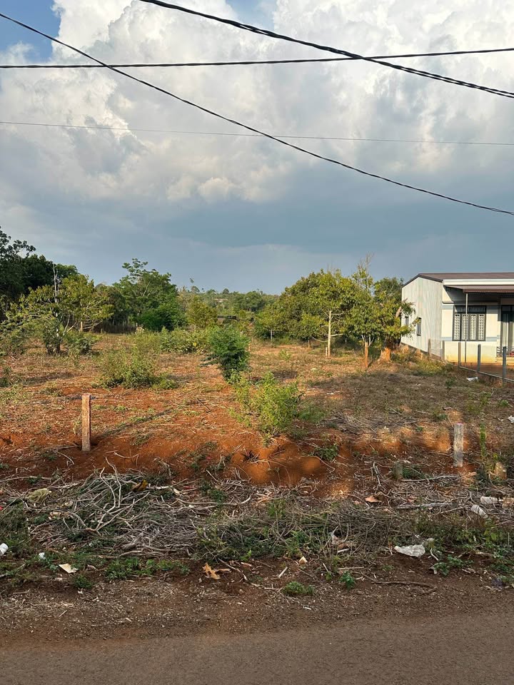 Đất thổ cư 120m² tại mặt tiền đường Y Ngông, Buôn Hồ - Giá cực tốt chỉ 1.099 tỷ!