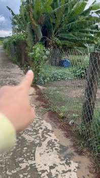 Đất nền P. Long Thuận, Gò Công 152m² giá chỉ 420 triệu - Cơ hội đầu tư tuyệt vời!