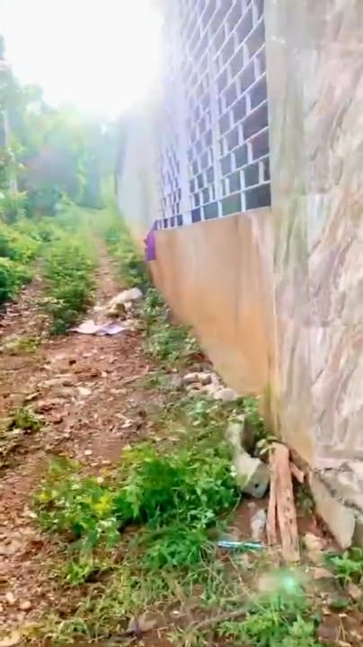 Đất nền thôn Thành Công, xã Ngọc Trạo, 239m² chỉ 600 triệu - Cơ hội đầu tư hiếm có!