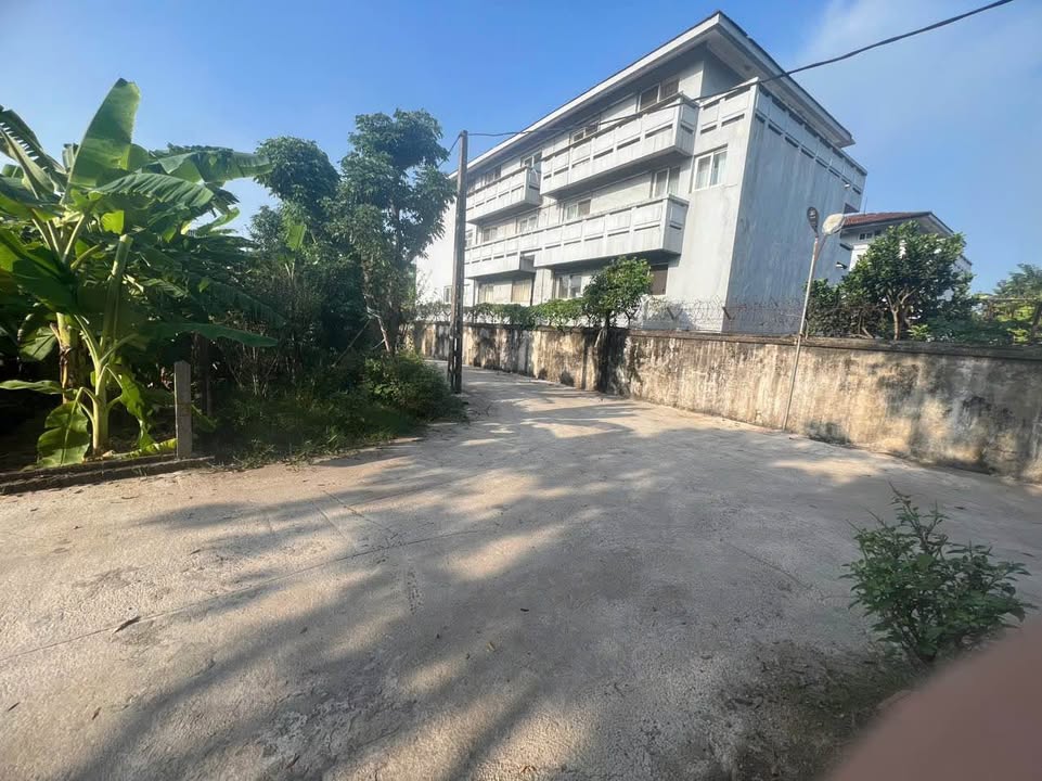 Đất nền phường Bến Gót 100m² giá 2 tỷ - Vị trí đẹp, dân cư đông đúc!