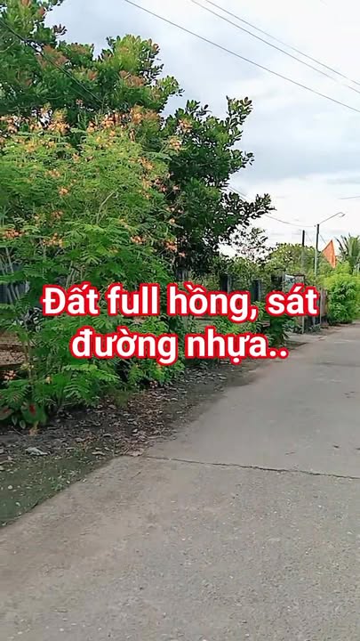 Đất thổ cư 560m² tại xã Phú Hòa, Đồng Nai - Sổ hồng chính chủ, giá 1.65 tỷ!