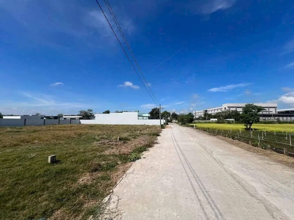 Đất nền thổ cư Sơn Qui, Đồng Tháp 160m² giá 800 triệu - Sổ hồng sẵn, xe 16 chỗ vào tận nơi!