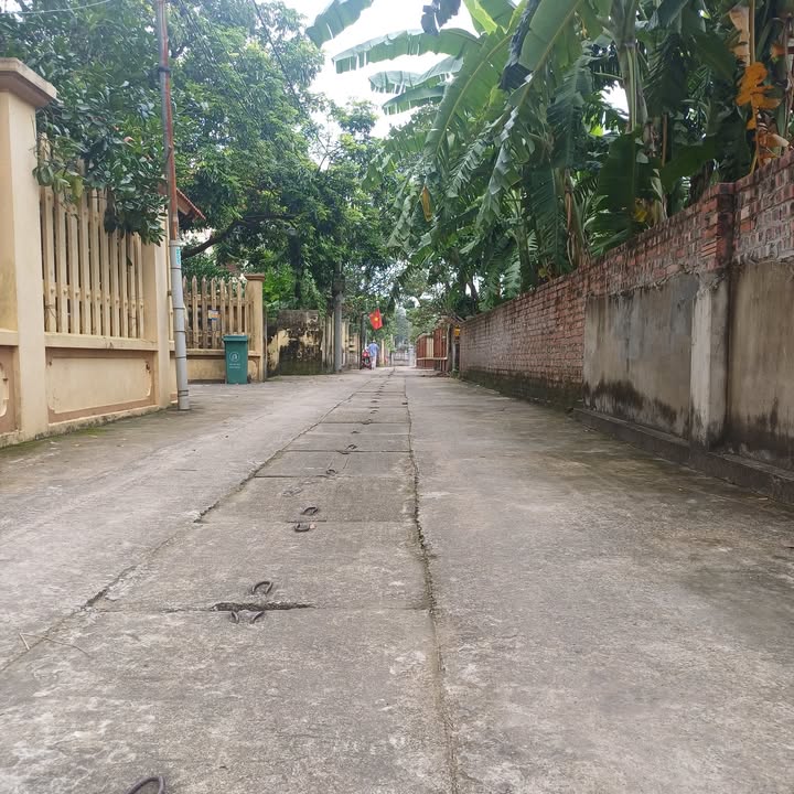 Lô đất Thạch Đà, Mê Linh 117m² giá 2.337 tỷ - Cơ hội đầu tư sinh lời!