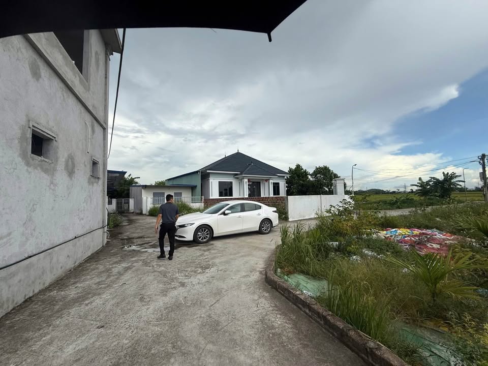 Đất nền Hòa Bình, Thủy Nguyên 65m² giá chỉ 800 triệu - Đầu tư sinh lời ngay!