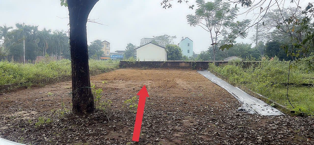 Đất nền Vai Réo, Quốc Oai, 283m² - Giá thỏa thuận hấp dẫn!