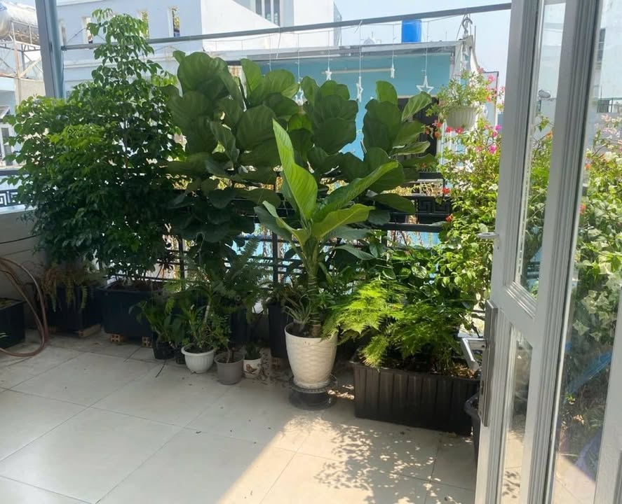 Nhà 3 tầng Tây Thạnh, Tân Phú 16m² giá 4.89 tỷ - Nhà mới đẹp, vào ở ngay!