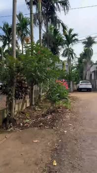 Đất nền góc 2 mặt tiền đường Mậu Thân, phường Tân An, 299m² - Cơ hội đầu tư tuyệt vời!