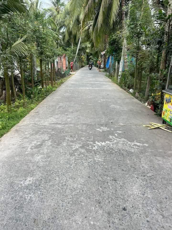 Đất nền xã Tân Bình, Mỏ Cày Bắc 870m² giá 850 triệu - Cơ hội đầu tư tuyệt vời!