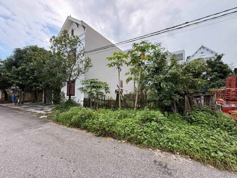 Đất liền kề mặt đường Trần Quốc Toản, Ninh Khánh 177m² giá 14 tỷ - Kinh doanh sầm uất!