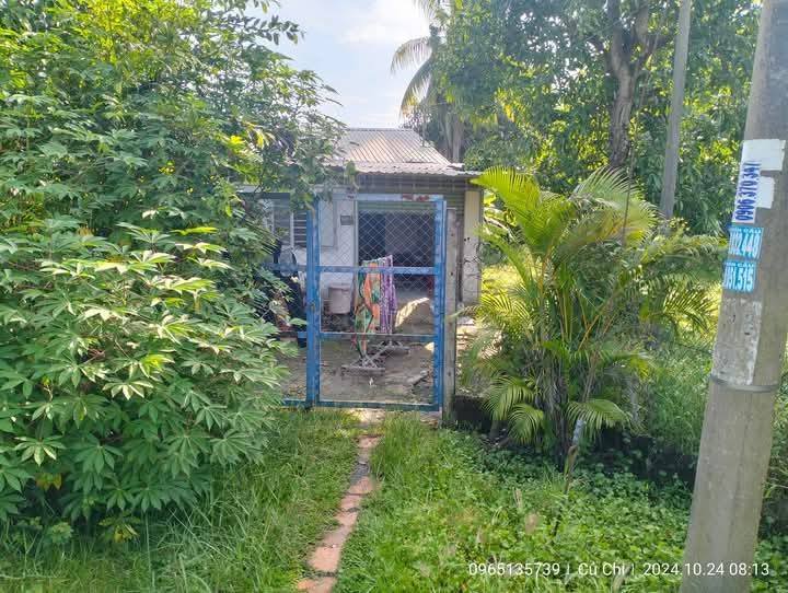 Nhà vườn Trung Lập Thượng, Củ Chi 1.741m² giá 5.8 tỷ - Đầu tư sinh lời lý tưởng!