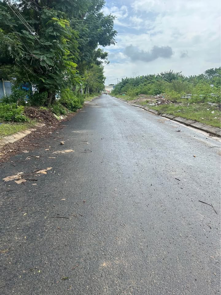 Đất nền đường Nam Cao, phường Hoà Khánh, Đà Nẵng 388m² - Đầu tư sinh lời ngay!