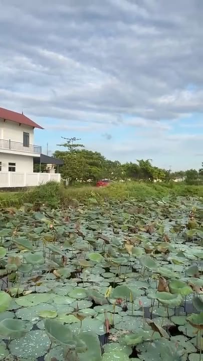 Đất nền Yên Thắng, Yên Mô 102m² - Cơ hội đầu tư hấp dẫn!