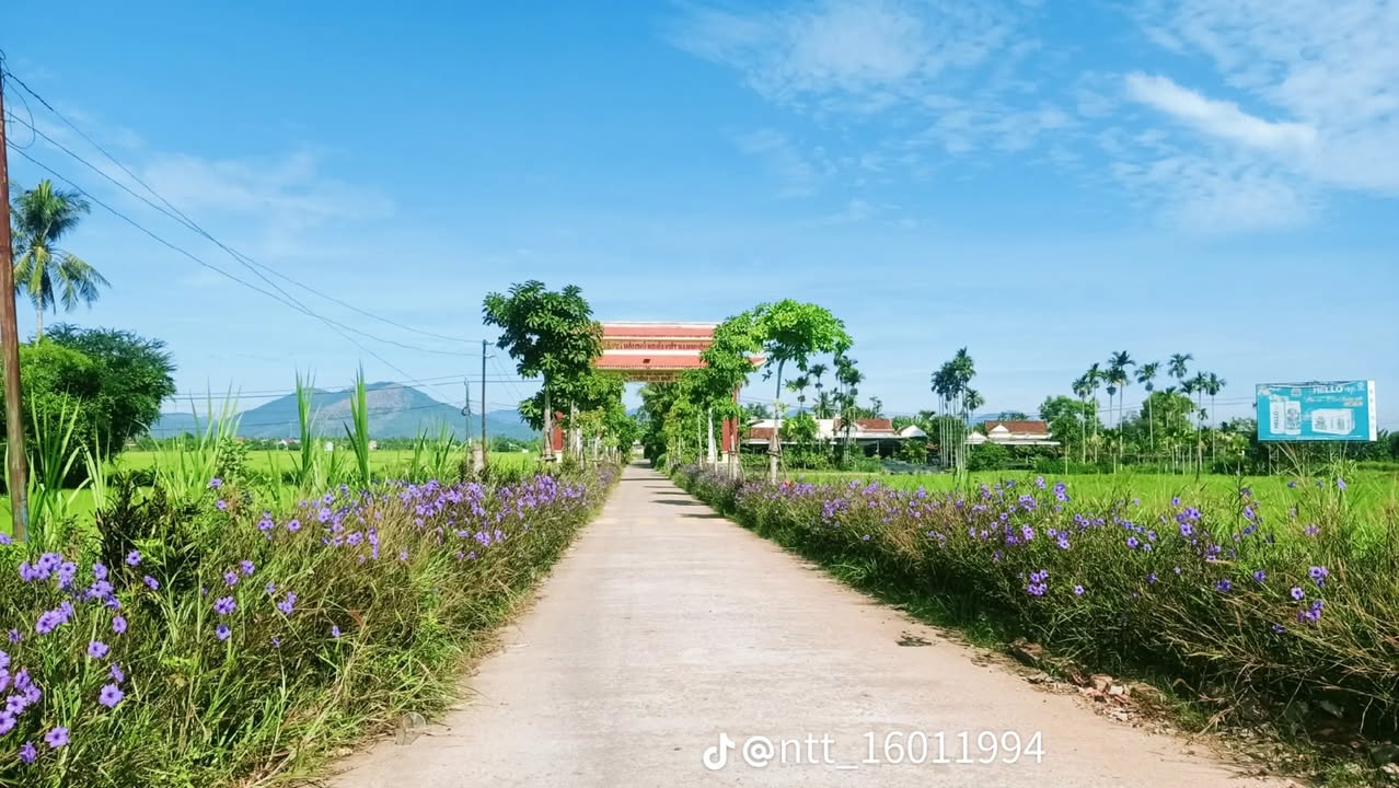 Đất nền xã Quang Phục 120m² giá 800 triệu - Lô góc hai mặt tiền hấp dẫn!