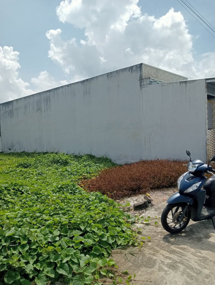 Đất thổ cư ấp 5 xã Nhị Thành 110m² giá 680 triệu - Vị trí đẹp, đầu tư sinh lời!