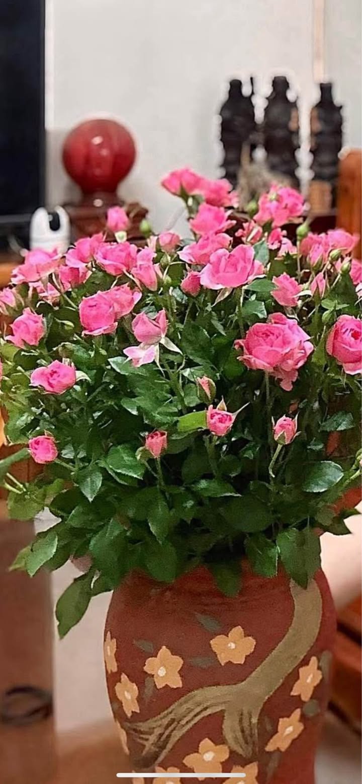 Đất nền đường Xích Ngọc, phường Quảng Đông, 171m² giá chỉ 1.05 tỷ - Cơ hội đầu tư tuyệt vời!