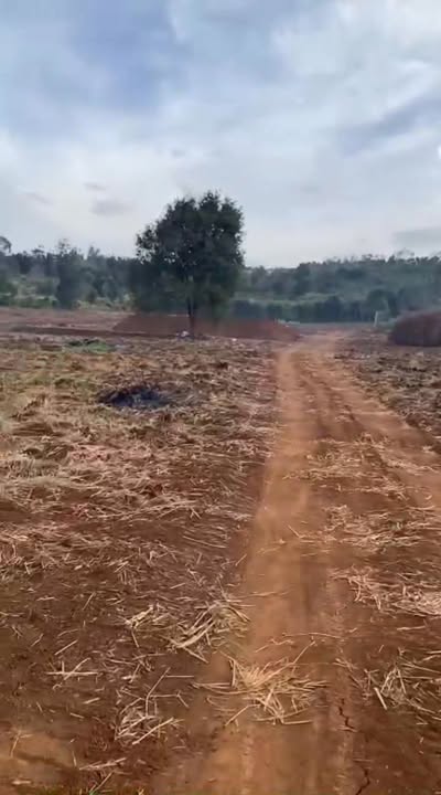 Đất nông nghiệp Ea Sin, Krông Búk 50000m² giá 10.237 tỷ - Sẵn sàng trồng cây theo ý muốn!