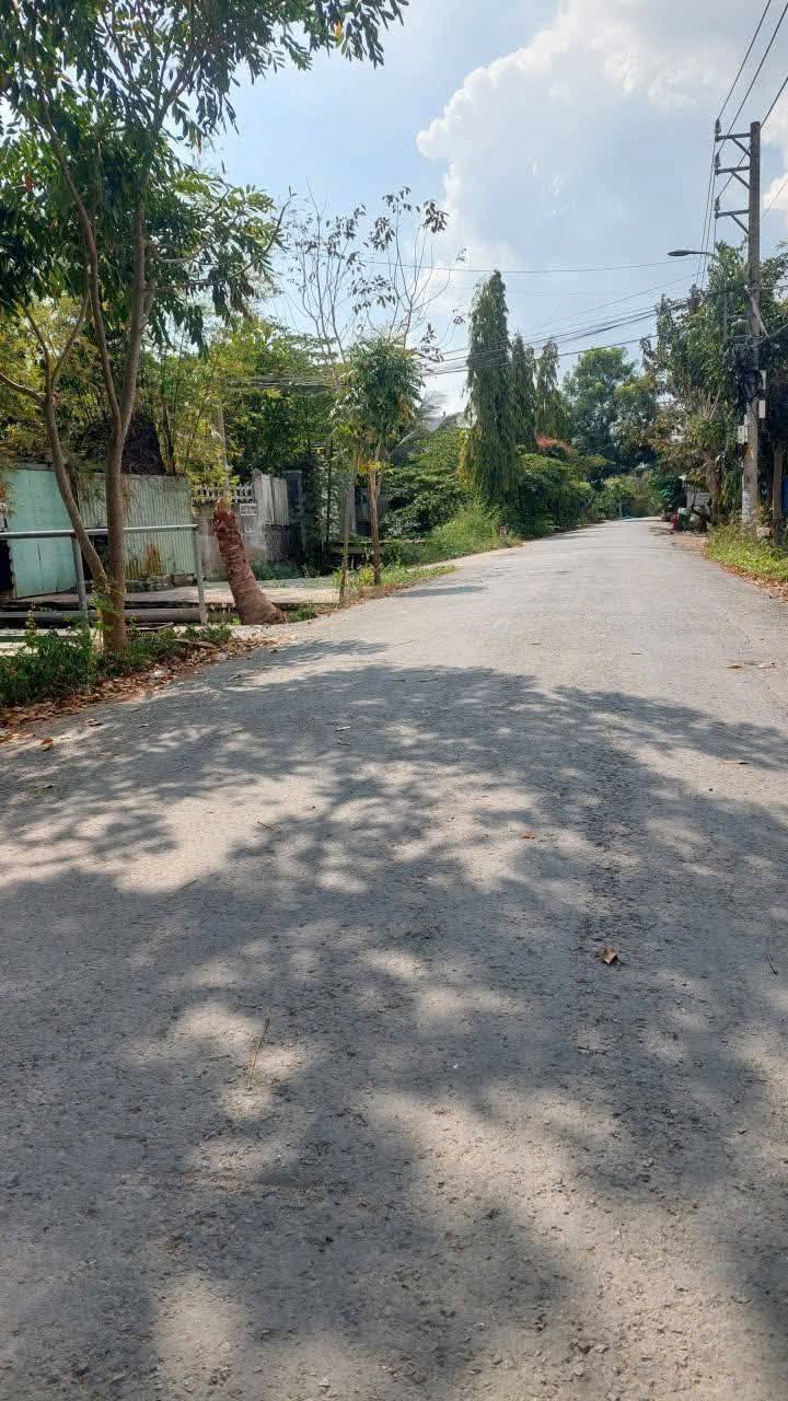 Đất vườn Đa Phước Bình Chánh 1.600m² giá 12.8 tỷ - Chính chủ bán gấp!