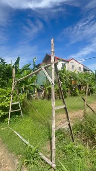 Đất thổ cư tại đường Nguyễn Biểu, Kỳ Trinh 100m² giá 2.2 tỷ - Chính chủ bán gấp!