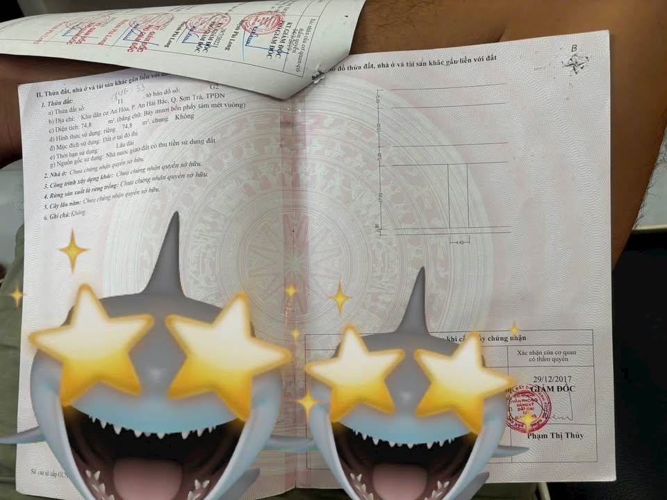 Đất nền đường Trần Nhân Tông, Sơn Trà 74m² giá thỏa thuận - Đối diện trường Tôn Thất Tùng!