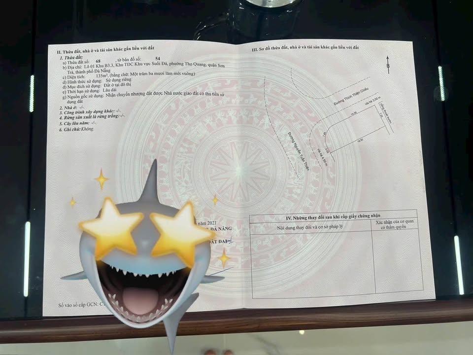 Đất nền góc Thích Thiện Chiếu, Sơn Trà, Đà Nẵng 135m² giá 14.2 tỷ - Đầu tư sinh lời lý tưởng!