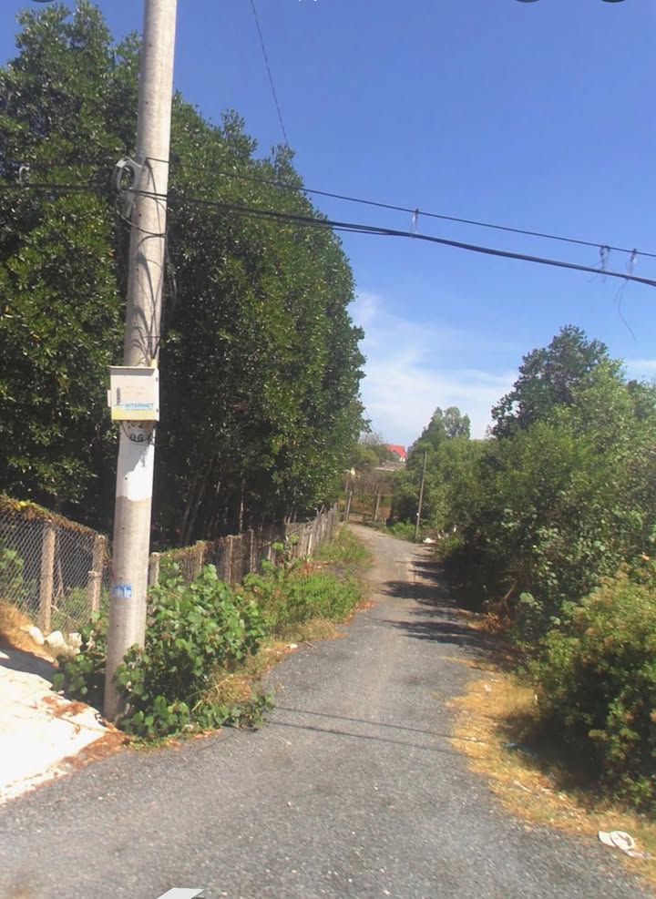 Đất nền chính chủ Cần Giờ 90m² giá 2.45 tỷ - Cơ hội vàng đầu tư!