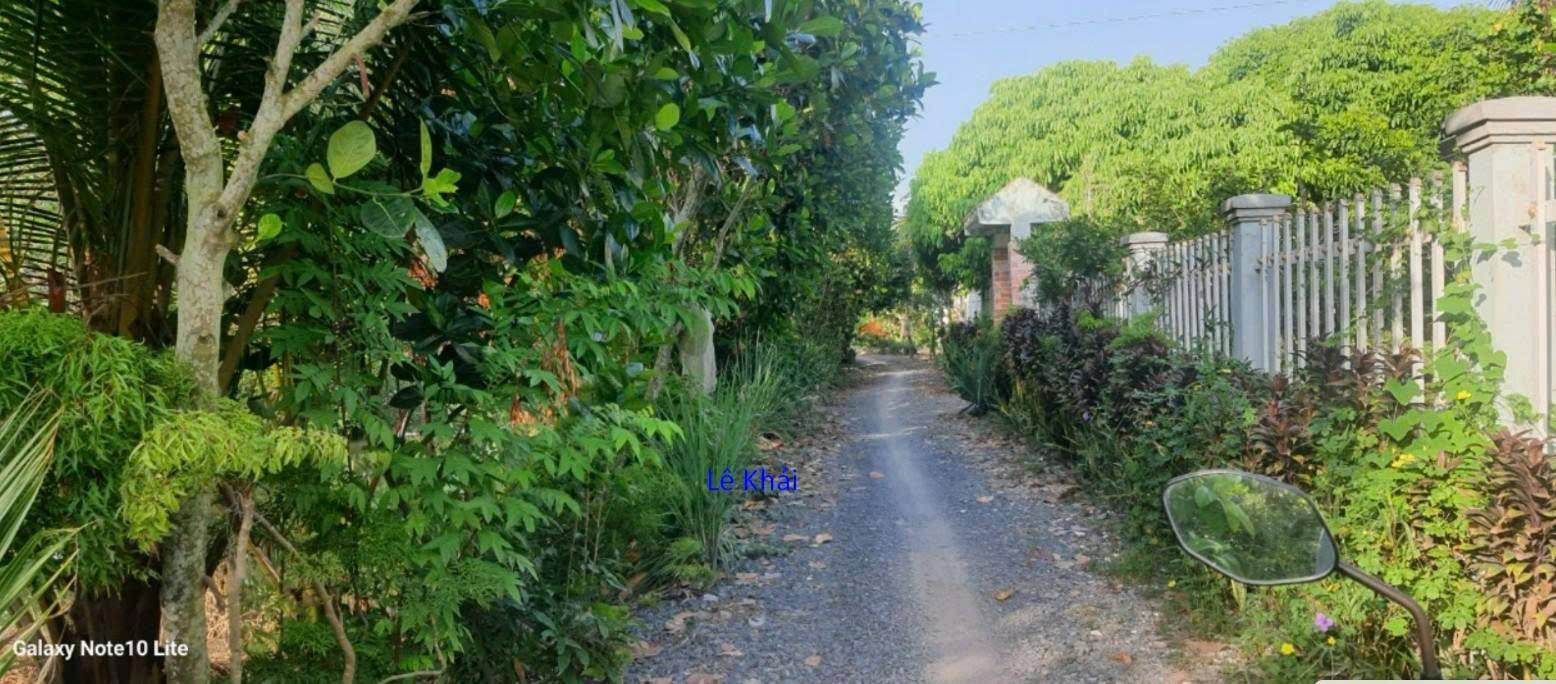 Đất nền 155m² tại xã An Bình, Đồng Tháp - Giá chỉ 400 triệu!