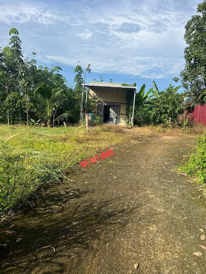 Đất nền 1000m² Lộc Thành, Lộc Ninh chỉ 135 triệu - Sổ đỏ chính chủ!