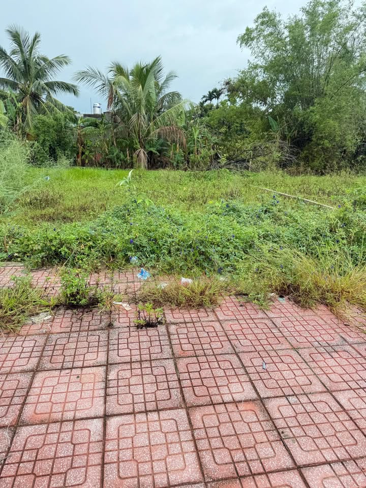 Đất nền dự án Nghi Sơn Centralpark 200m² giá 3.5 tỷ - Cơ hội đầu tư tuyệt vời!