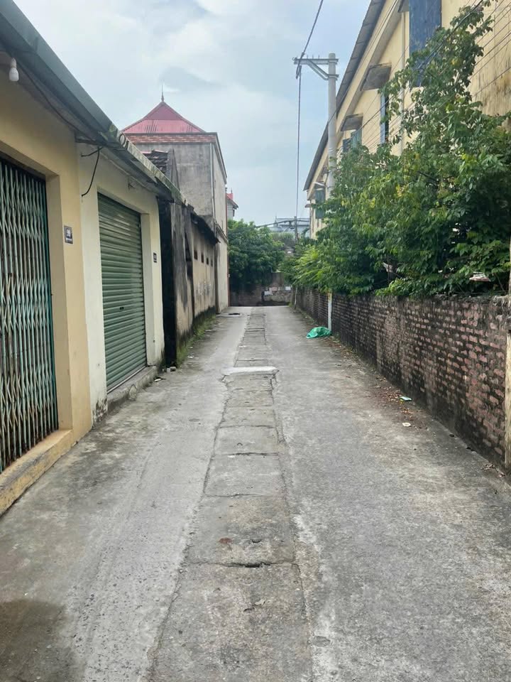 Đất nền Tự Nhiên Thường Tín 110m² - Giá tốt, tặng nhà mái bằng!