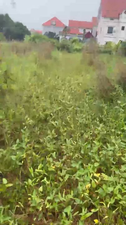 Đất nền Hồng Vân, Thường Tín 46m² giá 2.6 tỷ - Vị trí đắc địa, pháp lý rõ ràng!