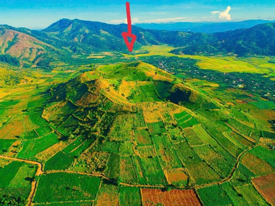 Đất nông nghiệp Biển Hồ 9000m² giá 1.1 tỷ - Chất đất tốt, tiện ích đầy đủ