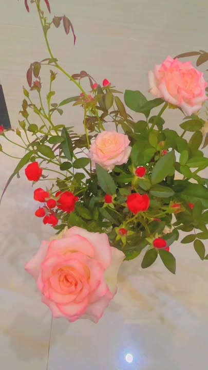 Đất nền Bình Lộc Long Khánh 450m² giá chỉ 200 triệu - Cơ hội đầu tư tuyệt vời!