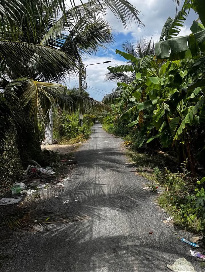 Đất mặt tiền nhựa 4m tại ấp Tân Tỉnh B, Mỹ Tho - Giá 5 tỷ, cơ hội đầu tư sinh lời!