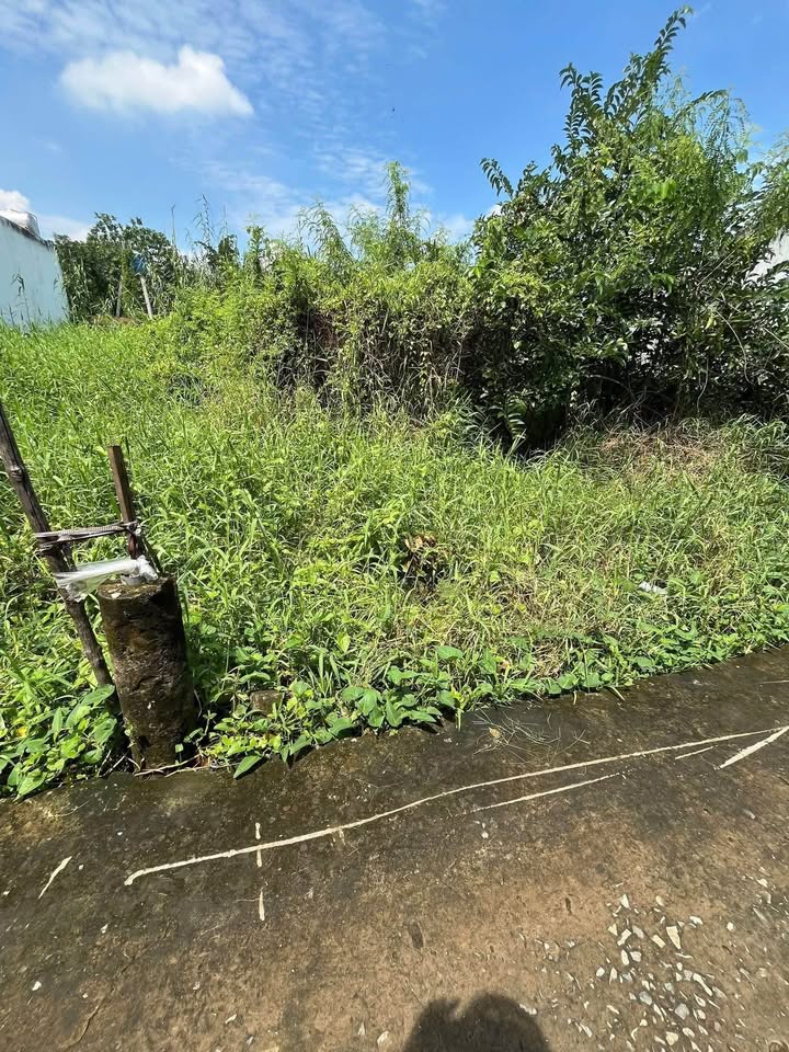 Đất thổ cư hẻm 23 Nguyễn Văn Tiếp, Tân An 96m² giá 980 triệu - Sổ đỏ chính chủ