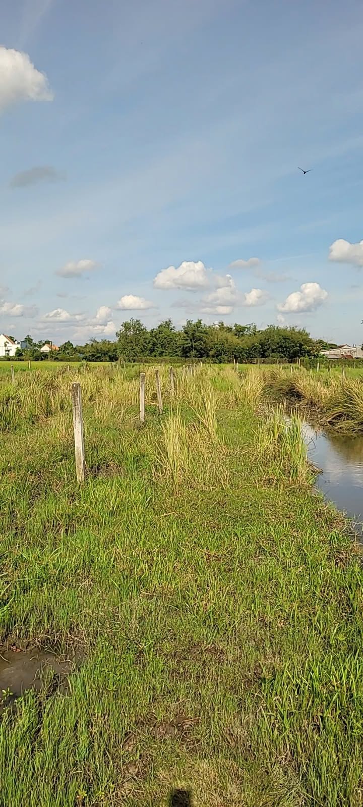 Đất nền Trung Lập Thượng Củ Chi 688m² giá chỉ 999 triệu - Cơ hội đầu tư tuyệt vời!