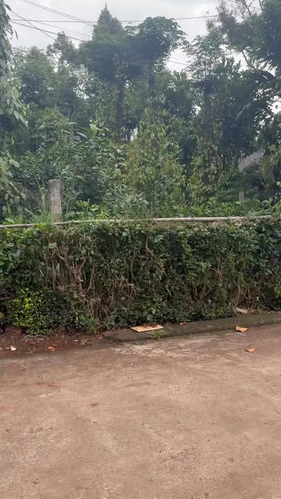 Lô đất vàng Đắk Mil 1.038m² giá 160 triệu - Cơ hội đầu tư tuyệt vời!