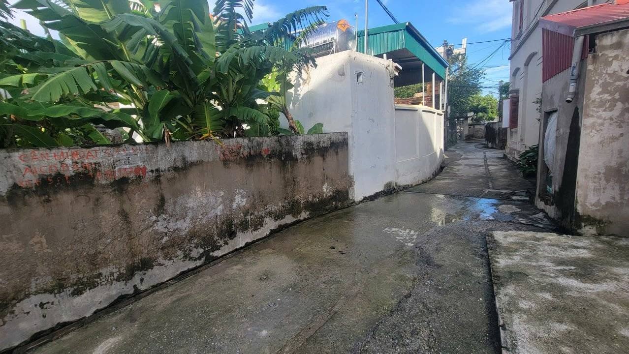 Lô đất góc Phượng Mỹ - Tam Hưng, Thanh Oai 81.5m² - Cơ hội đầu tư tuyệt vời!