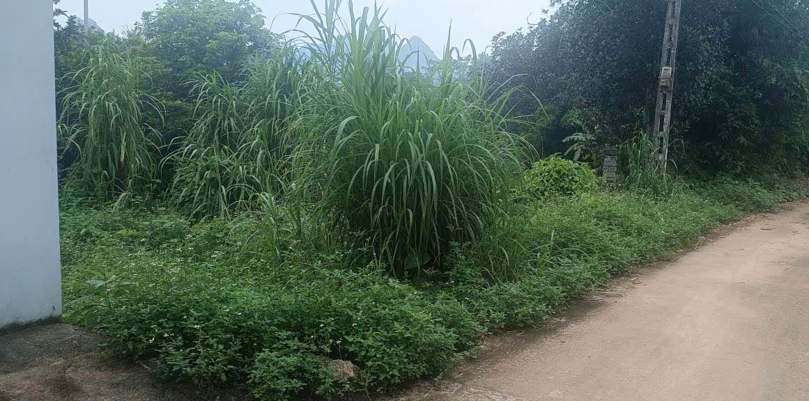 Lô đất Vĩnh Tiến, Kim Bôi 330m² giá chỉ 200 triệu - View núi tuyệt đẹp!