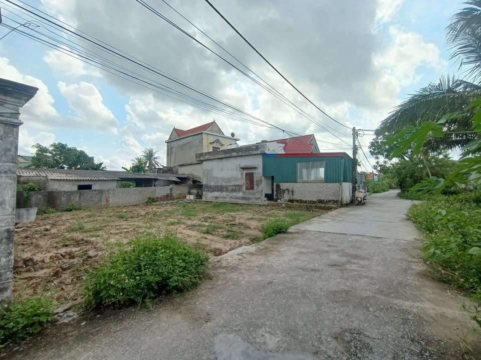 Đất thổ cư Văn Tố Tứ Kỳ 250m² giá 900 triệu - Cần bán gấp!