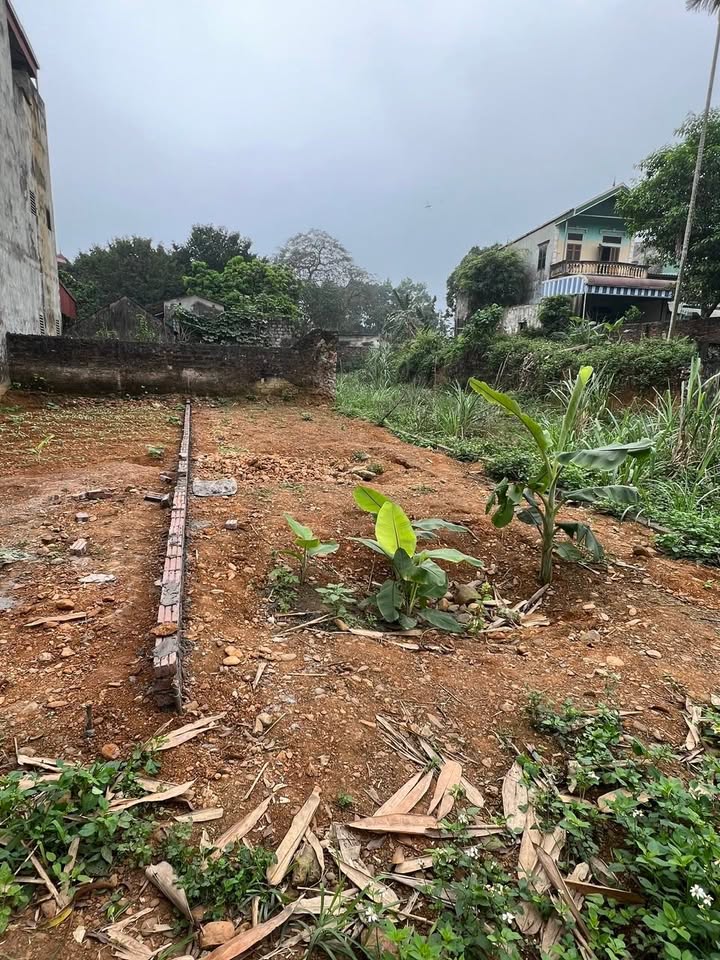 Đất nền Chương Mỹ 71m² giá thỏa thuận - Vị trí sầm uất, tiện kinh doanh!