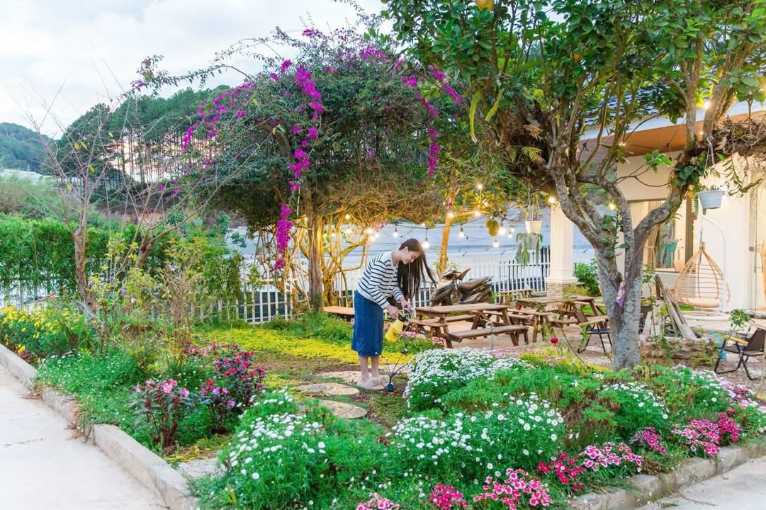 Nhà nguyên căn cho thuê tại Đà Lạt 6PN, giá thỏa thuận - Trải nghiệm nghỉ dưỡng tuyệt vời!