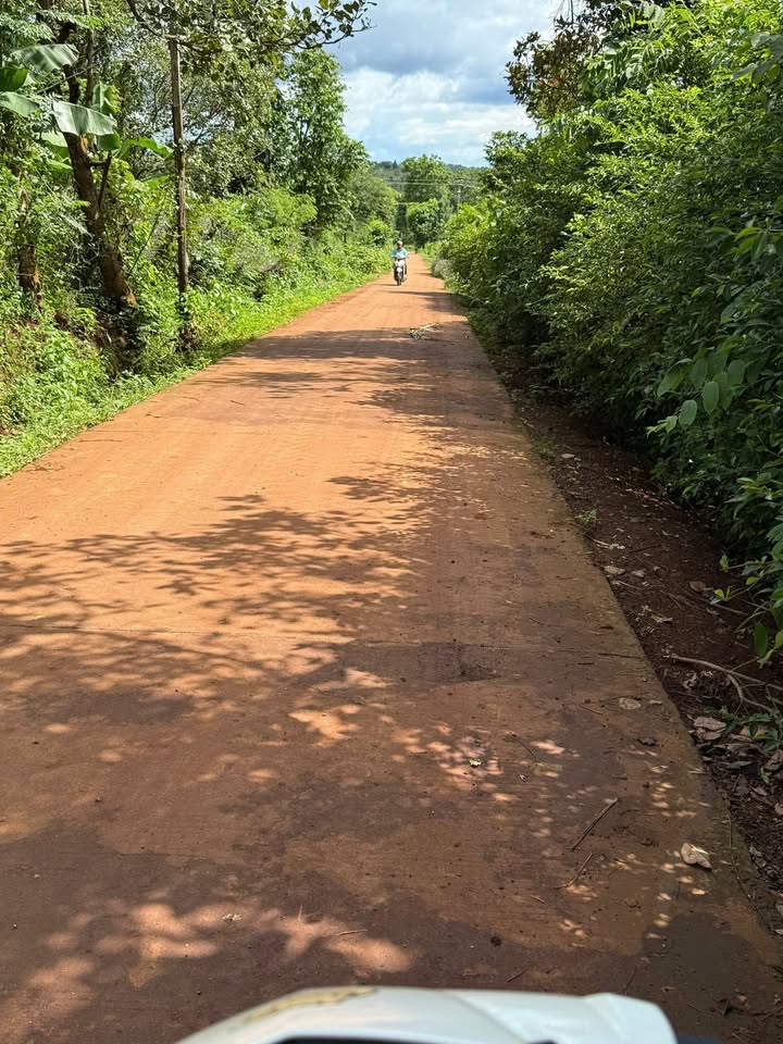 Đất nền Cư M'gar 150m² giá 350 triệu - Đầu tư sinh lời tiềm năng!