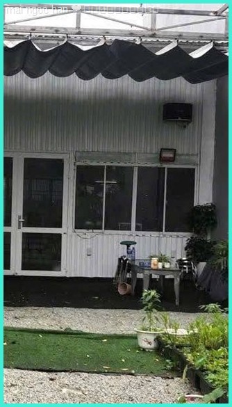 Nhà mặt tiền cho thuê Thủy Dương 160m² giá 5.5 triệu - Vị trí đắc địa phù hợp kinh doanh!