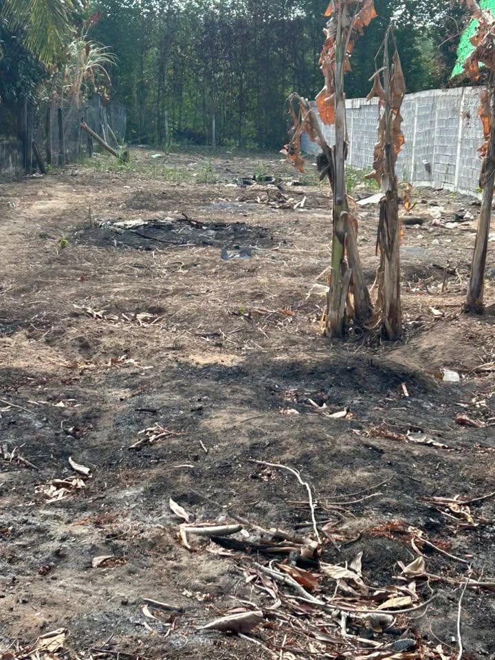 Đất mặt tiền Thạnh Thới, Long Hòa, Cần Giờ 500m² giá 25 tỷ - Đầu tư sinh lời ngay!