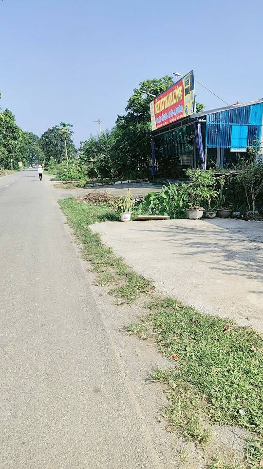 Bán Đất Vàng Thanh Sơn, Lương Sơn 140m² - Cơ Hội Đầu Tư Siêu Hời!