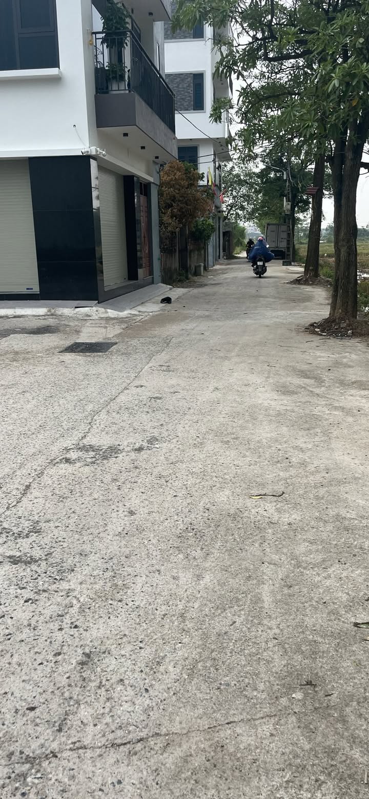 Đất tái định cư Đại Áng, Ngọc Hồi 78.5m² giá 11.2 tỷ - Vị trí đẹp, tiện ích đầy đủ!