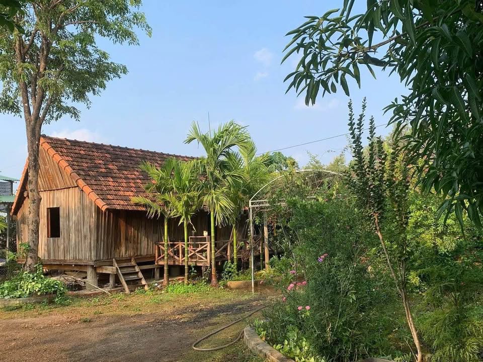 Homestay cho thuê tại phường Thành Nhất, Buôn Ma Thuột - Giá 3.5 triệu/tháng, không gian thoáng đãng!